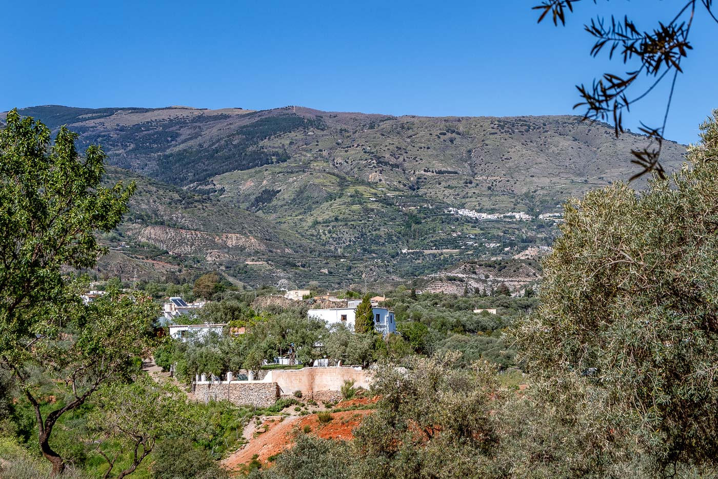 Tu villa vista desde unos olivares